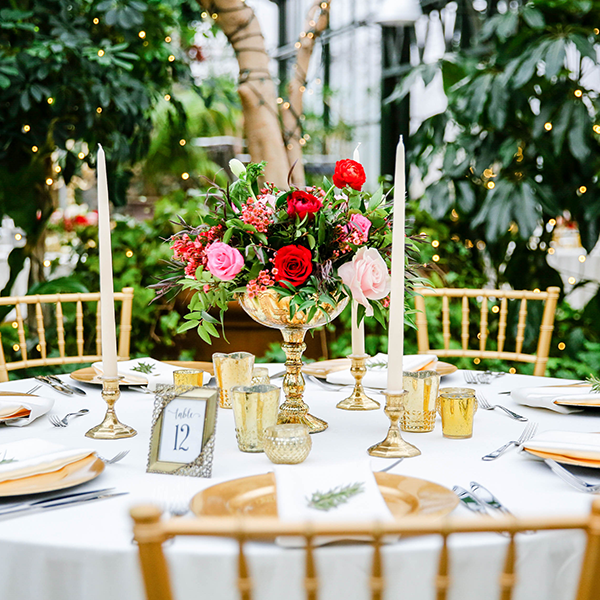 Amex Catering Services